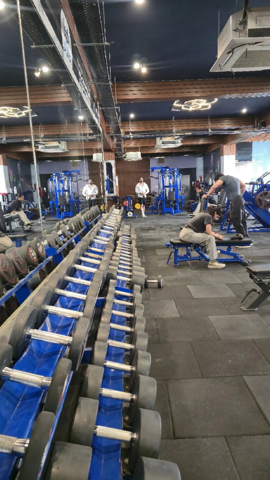 Long dumbbell rack beside mirrors and members working out among blue machines