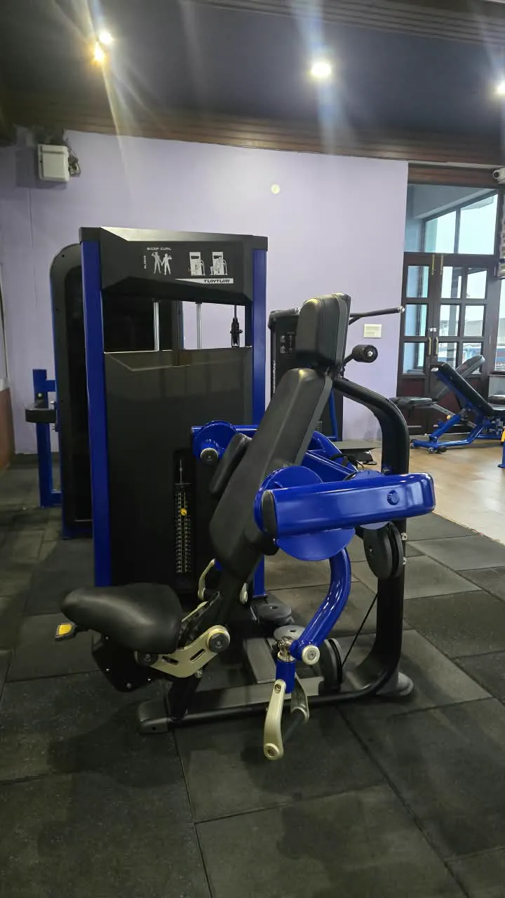 Blue and black bicep curl machine with a weight stack beneath warm gym lights