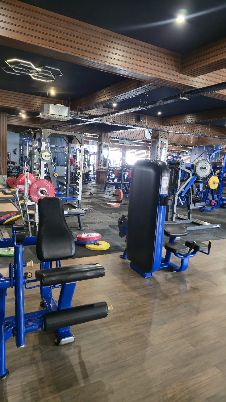 Portrait view of blue strength machines, a rack and weight plates on the timber-lined gym floor