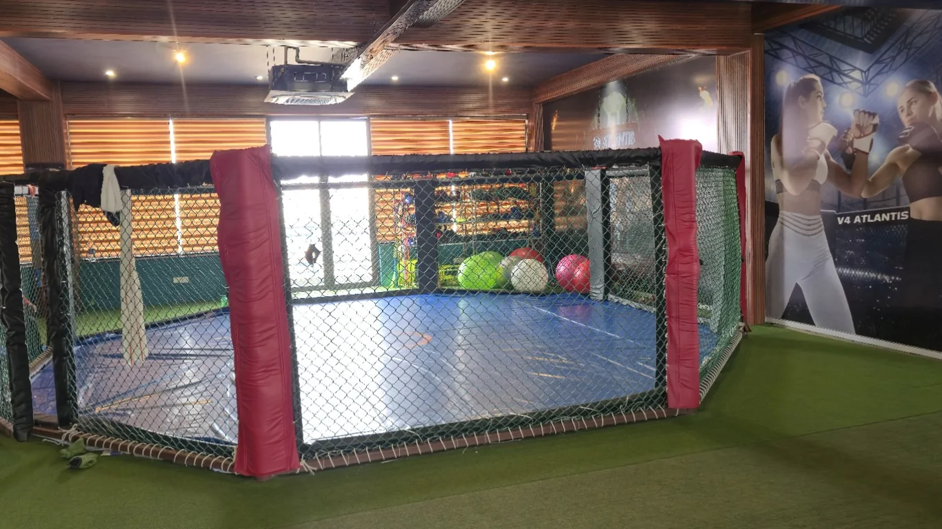 MMA cage with red padded corners on green turf